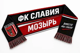 Шарфы болельщиков