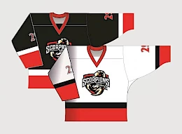 "СКОРПИОНЫ"